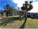 A palm tree stands in the grassy front yard of a house with a brick exterior — 809 N JOHN YOUNG PARKWAY, KISSIMMEE, FL