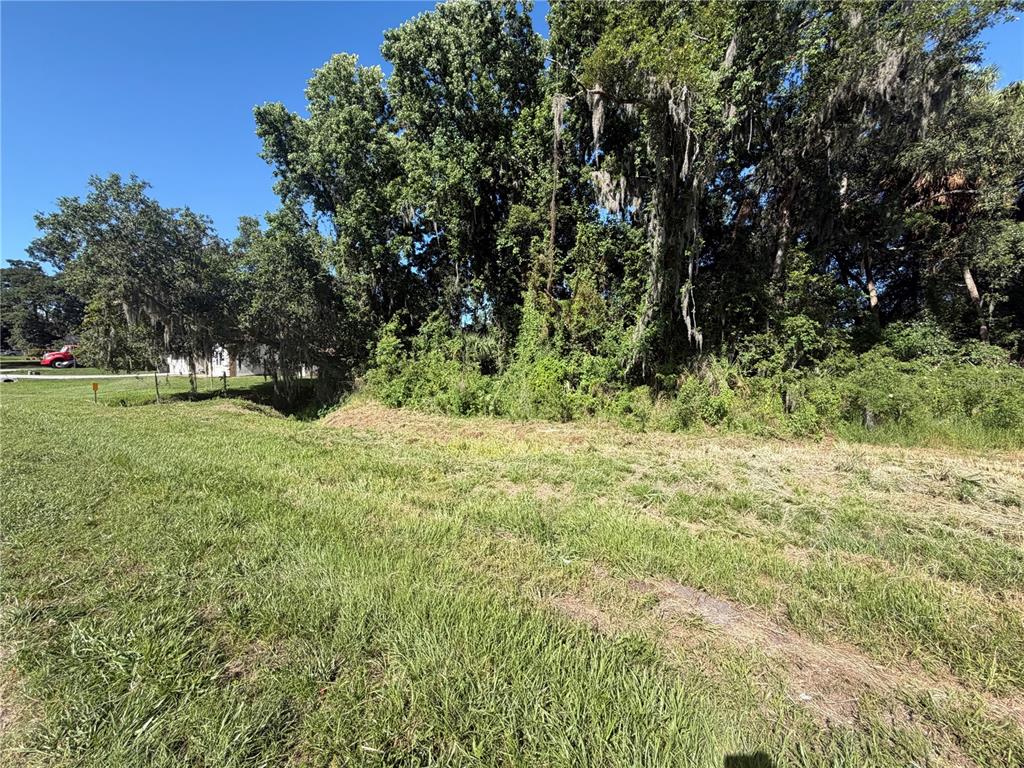 A grassy, open lot features a line of mature trees with Spanish moss in the background — DOSSEY ROAD S, LAKELAND, FL