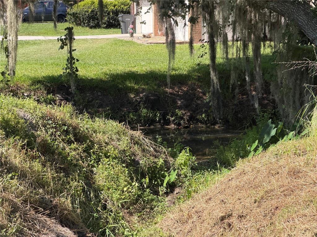A small, shaded drainage ditch runs through a grassy yard with hanging Spanish moss — DOSSEY ROAD S, LAKELAND, FL
