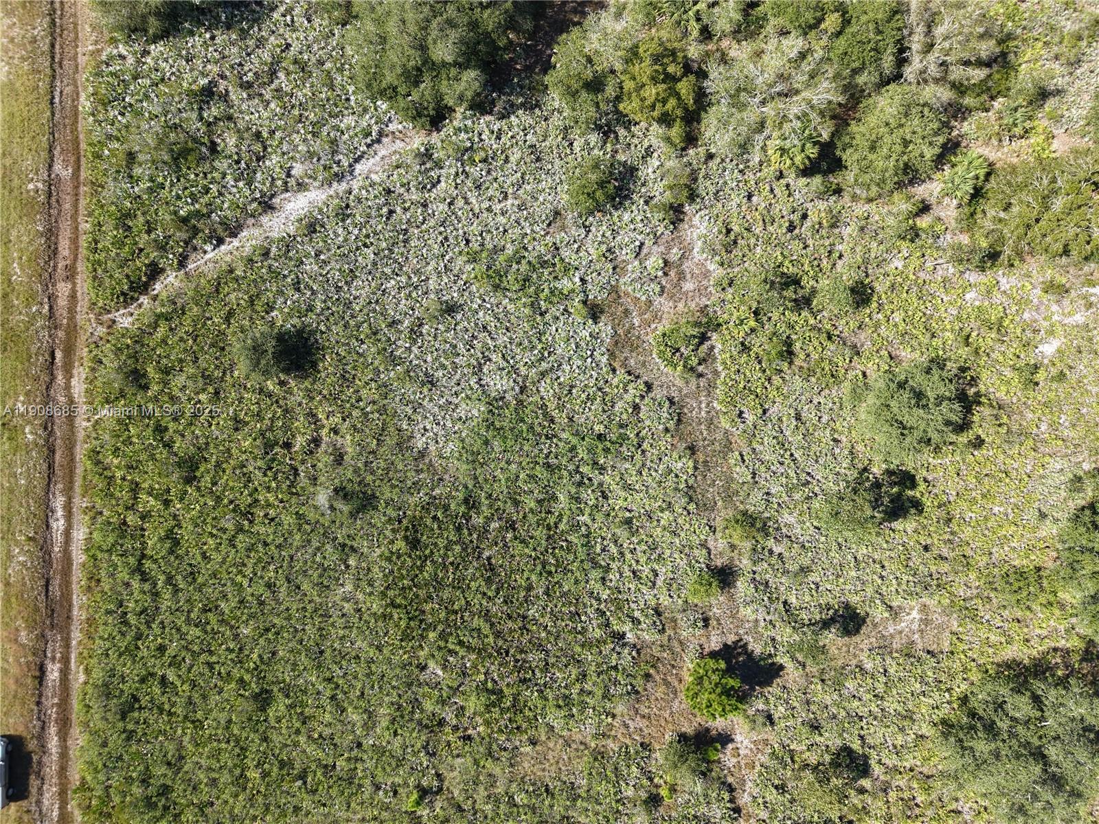 15527 NW 252ND, Okeechobee FL 34972, OKEECHOBEE, FL — photo 3 of 30
