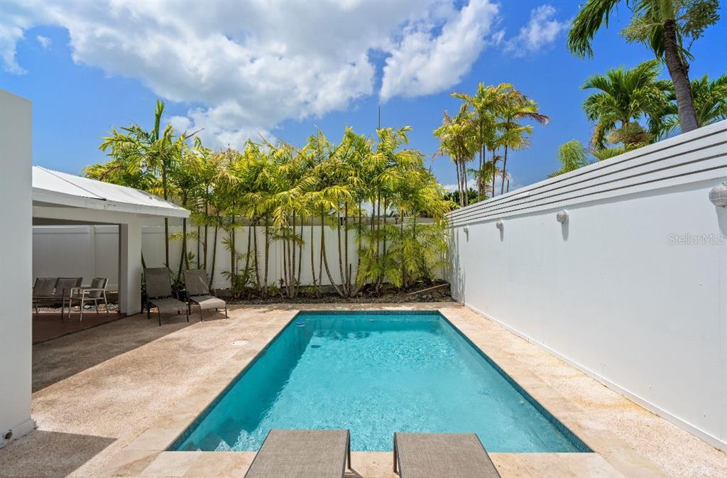 A rectangular swimming pool sits on a stone patio surrounded by palm trees and walls — Calle 2 DORADO DEL MAR G8, DORADO, PR