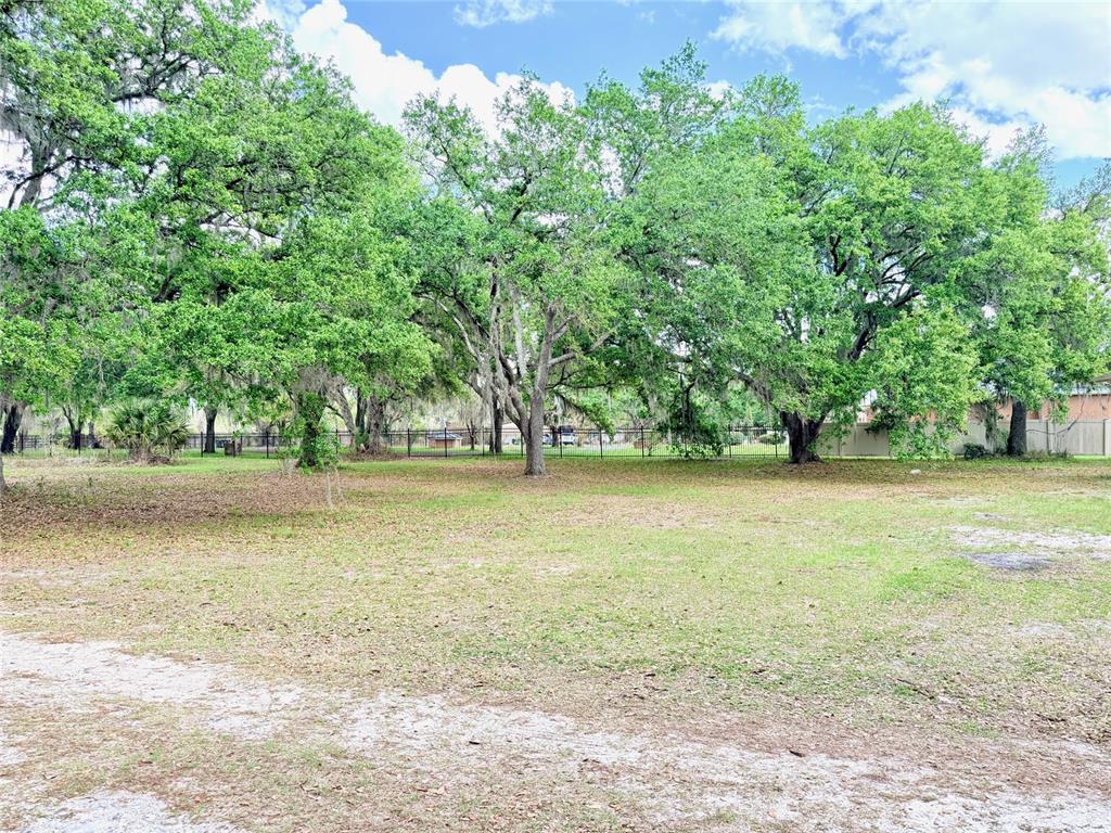 A large, grassy, open lot features several mature oak trees and a black metal fence — 7001 W DORMANY ROAD, PLANT CITY, FL