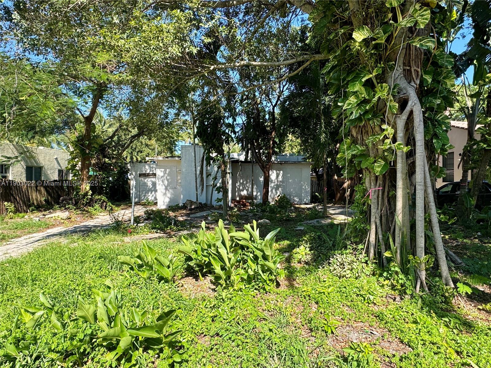 A white single-story house sits behind overgrown vegetation and large trees on a sunny day — 519 NE 118th St, Biscayne Park FL 33161, BISCAYNE PARK, FL