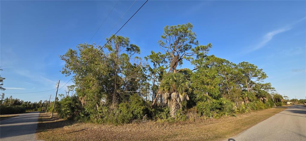 A wooded corner lot features a mix of pine trees and palmettos along two roads — 13262 GORMAN AVENUE, PORT CHARLOTTE, FL