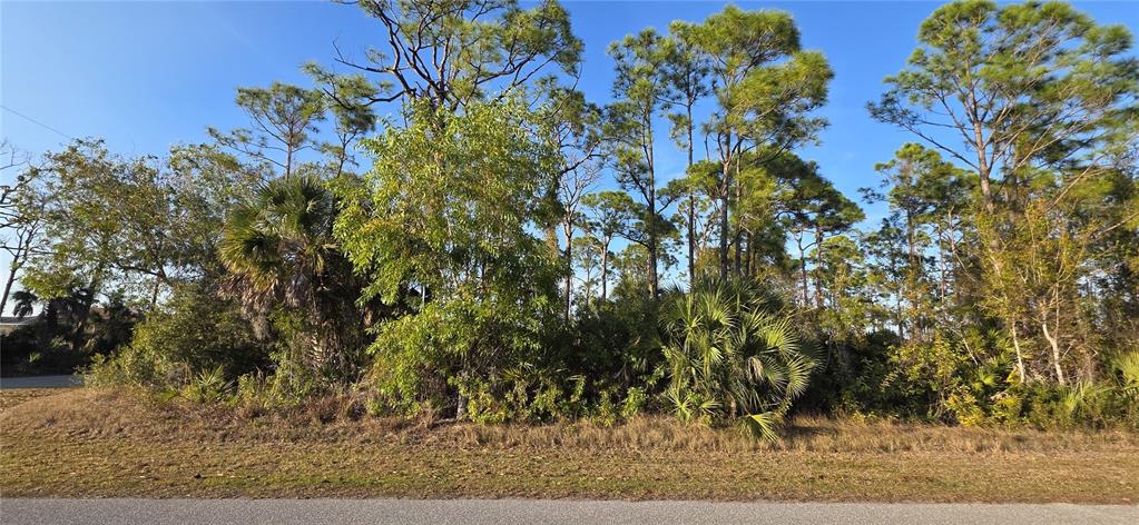 A vacant, wooded lot with tall pine trees and palmettos sits along a paved road — 13262 GORMAN AVENUE, PORT CHARLOTTE, FL