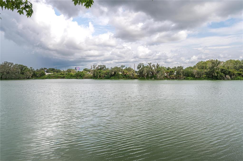 A view of a calm lake with a treeline under a cloudy sky — 5667 WATER OAK LANE, MULBERRY, FL