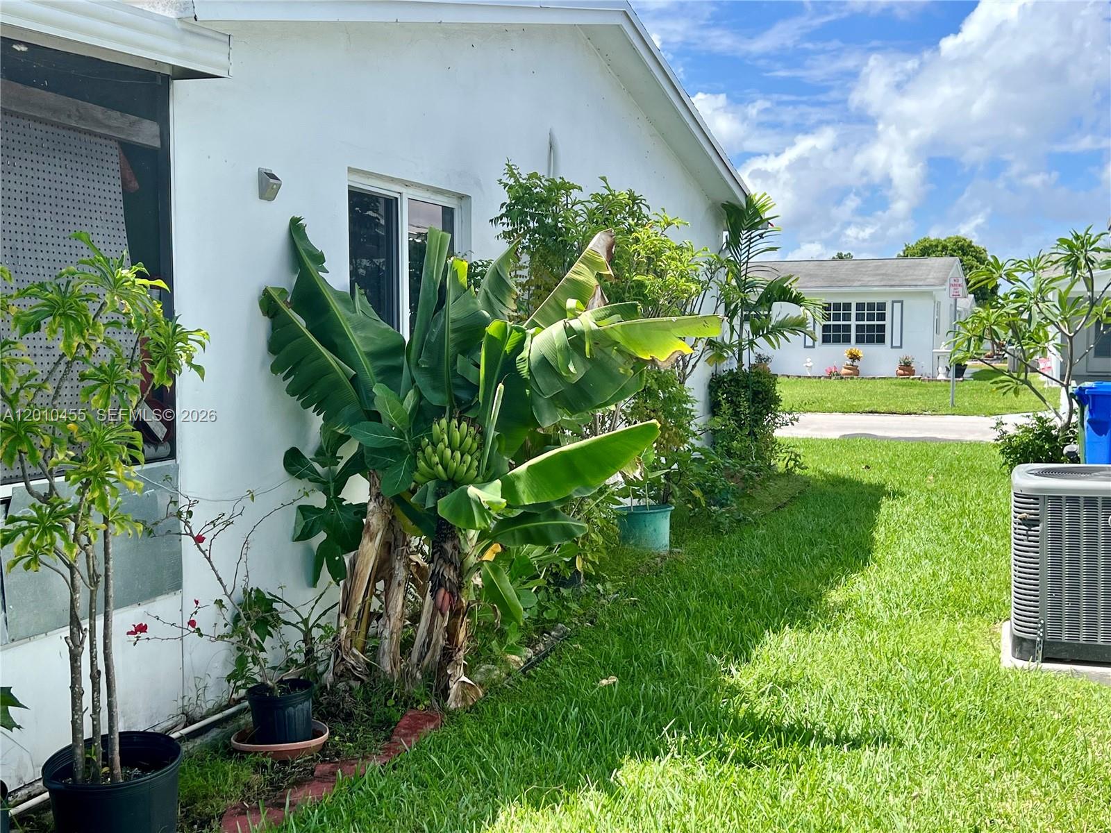 A white house exterior features a banana tree, potted plants, and a central air unit — 6800 NW 15th St, Margate FL 33063, MARGATE, FL