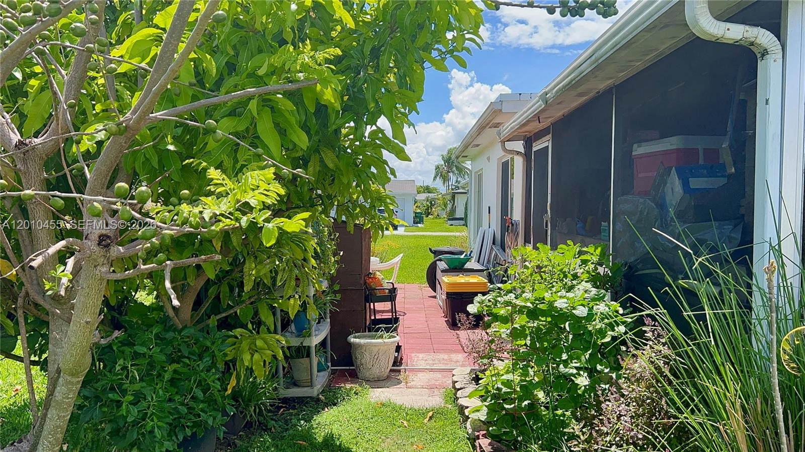 A side yard features a paved walkway, a fruit tree, and a screened-in porch area — 6800 NW 15th St, Margate FL 33063, MARGATE, FL