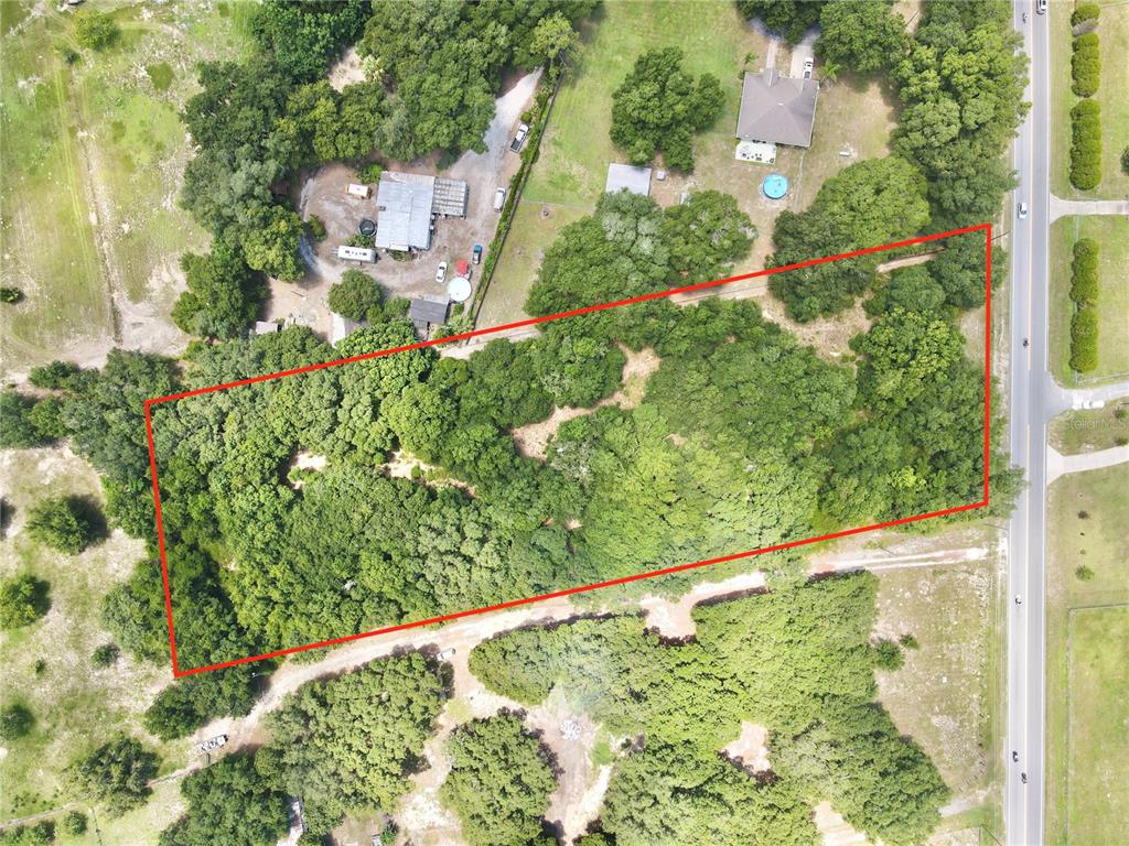 An aerial view shows a rectangular, tree-covered lot outlined in red next to a road — SE HWY 42, WEIRSDALE, FL