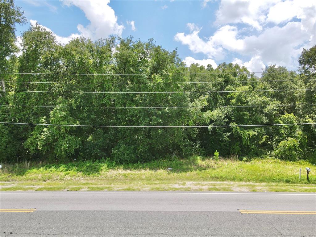 A view of a wooded, undeveloped lot situated behind a paved road with power lines — SE HWY 42, WEIRSDALE, FL