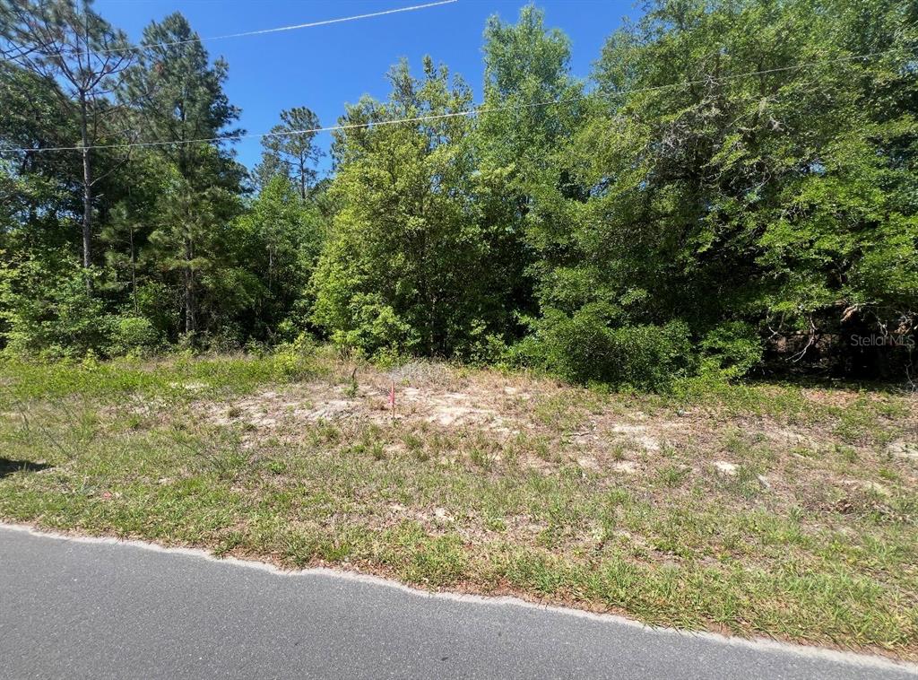 A vacant, wooded residential lot sits adjacent to an asphalt road under a clear sky — TBD LOCUST COURSE RADIAL LOT 20, OCALA, FL