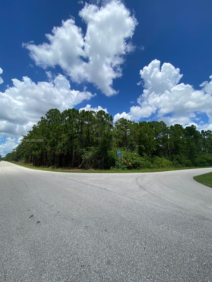 A paved road forks in front of a dense wooded area under a cloudy sky — 166 Ocean Park Dr, Lehigh Acres FL 33972, LEHIGH ACRES, FL