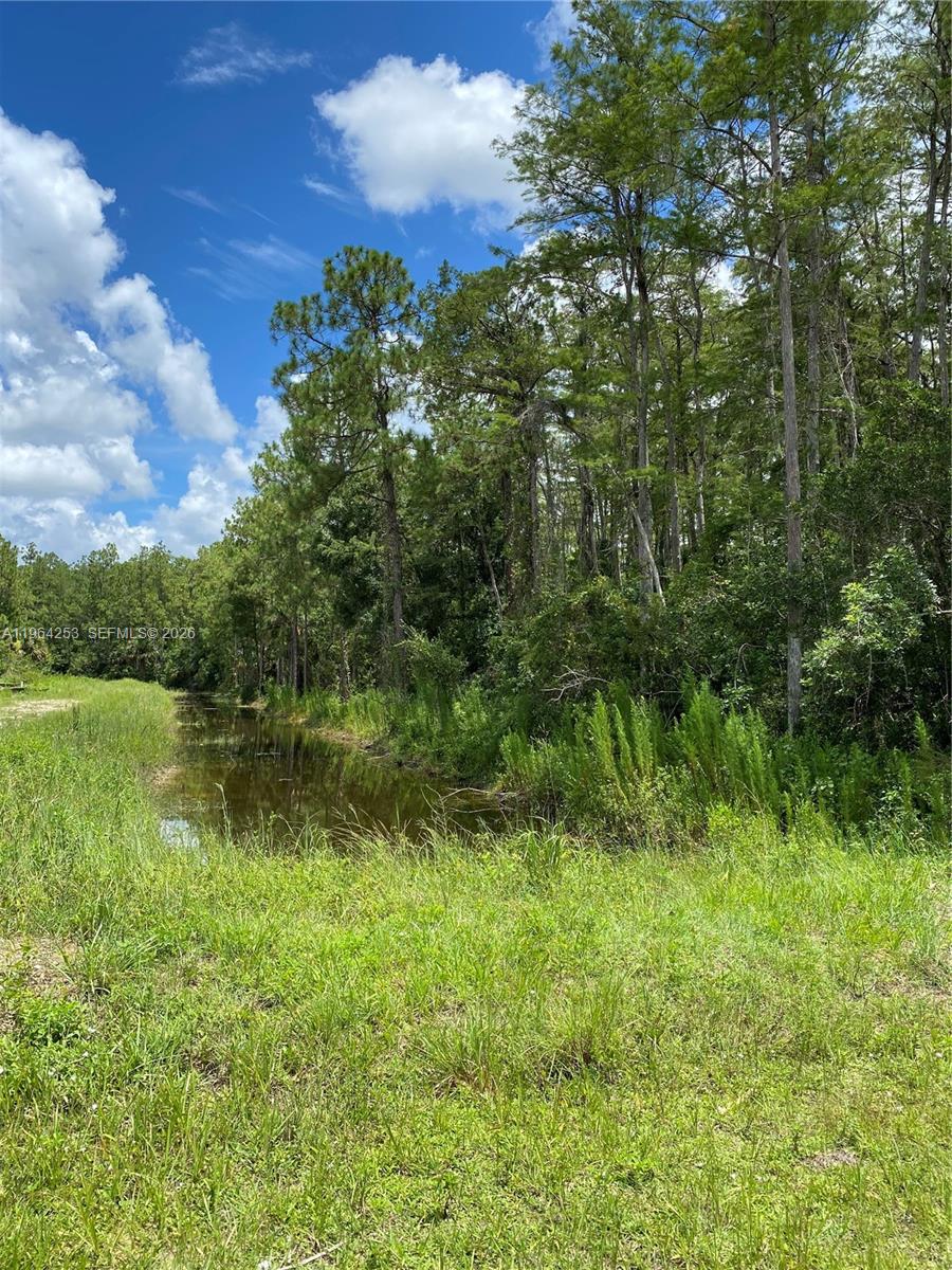 A narrow canal runs through a grassy field bordered by a dense forest of trees — 166 Ocean Park Dr, Lehigh Acres FL 33972, LEHIGH ACRES, FL