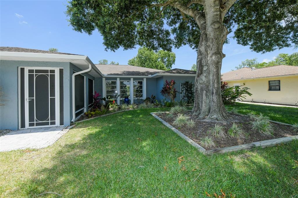 A blue house exterior features a large tree in the front yard with landscaped beds — 1625 BAY HILL CIRCLE, SARASOTA, FL