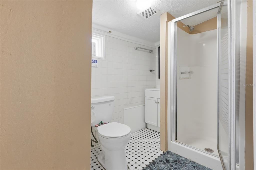 A bathroom features a white toilet, a glass-enclosed shower, and a small vanity — 920 E ANNIE STREET, TAMPA, FL
