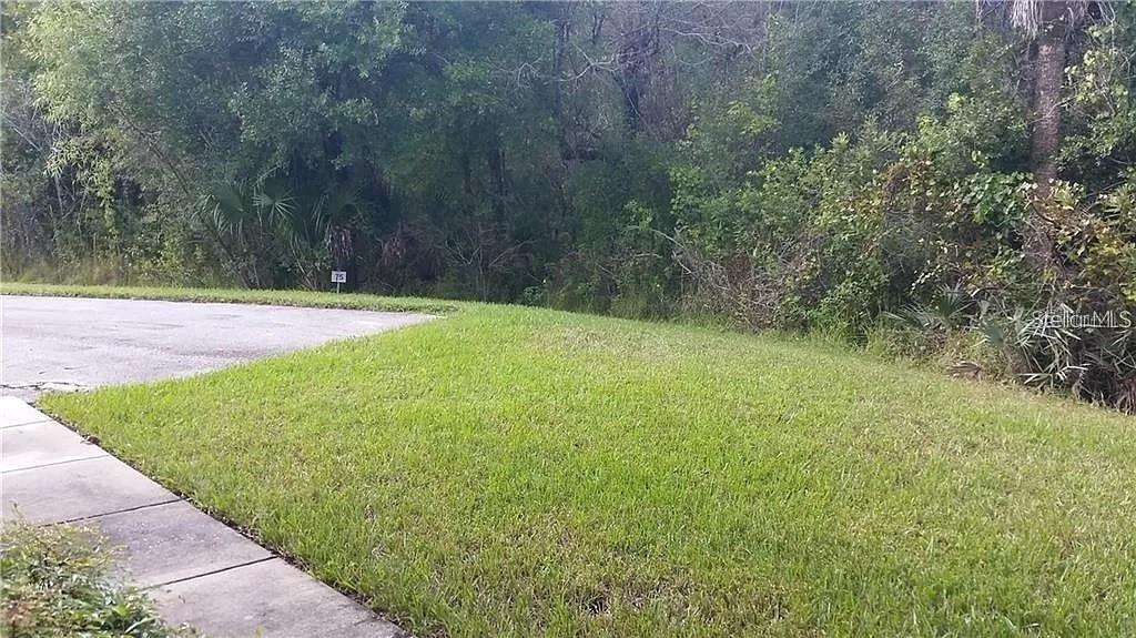 A grassy residential lot sits next to a paved road and a wooded area — 16317 NEWBURY PALMS COURT, TAMPA, FL