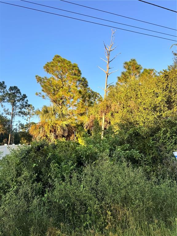 COLORADE AVENUE, NORTH PORT, FL — photo 2 of 4