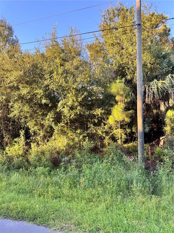 COLORADE AVENUE, NORTH PORT, FL — photo 3 of 4