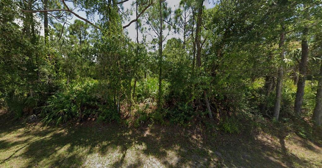 A dense, wooded lot with various trees and low-lying vegetation under a bright sky — 27055 TANGIER DRIVE, PUNTA GORDA, FL