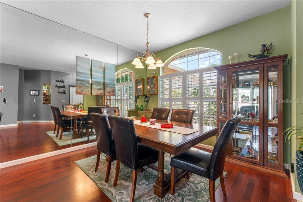 A dining room features a wooden table, leather chairs, a mirrored wall, and plantation shutters — 22804 WILLOW LAKES DRIVE, LUTZ, FL