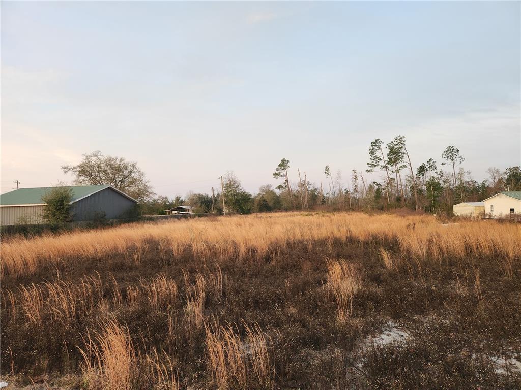 A vacant, grassy lot sits between two houses under a pale sky — 7901 HIGHWAY 2301, PANAMA CITY, FL