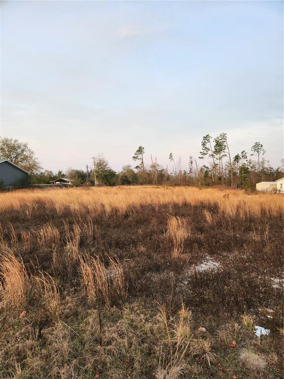 A vacant, grassy lot features patches of dark brush and scattered trees under a sky — 7901 HIGHWAY 2301, PANAMA CITY, FL