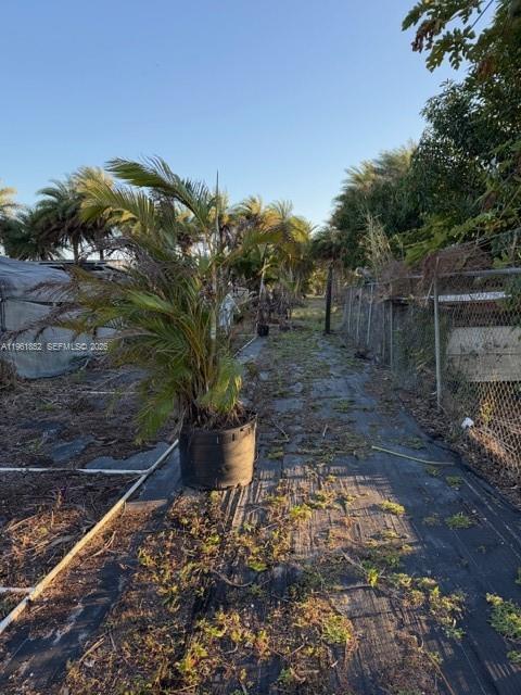 A potted palm tree sits on a black landscape fabric path beside a chain-link fence — 17450 SW 208th St, Miami FL 33187, MIAMI, FL