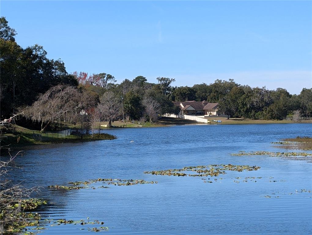 A view of a lake with lily pads in the foreground and a house beyond — 800 LAKE MARION DRIVE, ALTAMONTE SPRINGS, FL