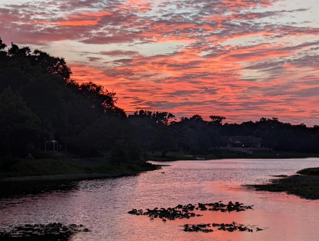A vibrant sunset glows over a lake with lily pads and a treelined shoreline — 800 LAKE MARION DRIVE, ALTAMONTE SPRINGS, FL