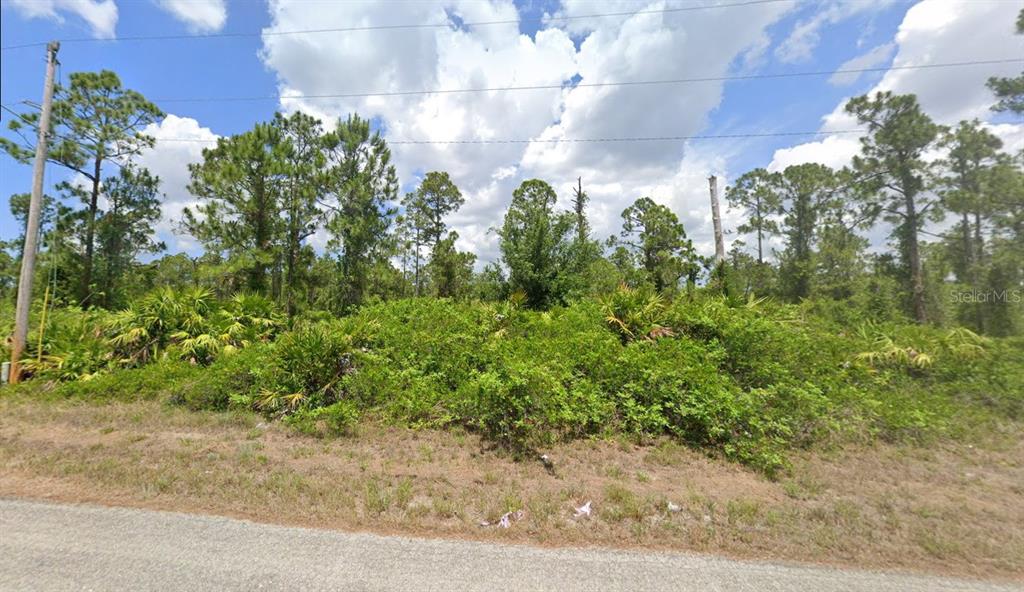A vacant, wooded lot with dense vegetation and pine trees sits beside a paved road — 1049 LILAC STREET E, LEHIGH ACRES, FL