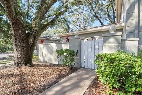 A concrete walkway leads to a white gate in front of a stucco building — 11713 RAINTREE DRIVE, TAMPA, FL