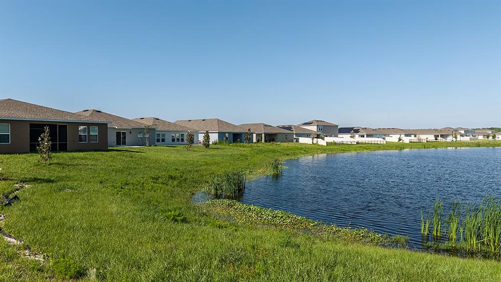 A row of suburban houses overlooks a retention pond with grassy banks and aquatic plants — 5478 ISLA SAONA, KISSIMMEE, FL