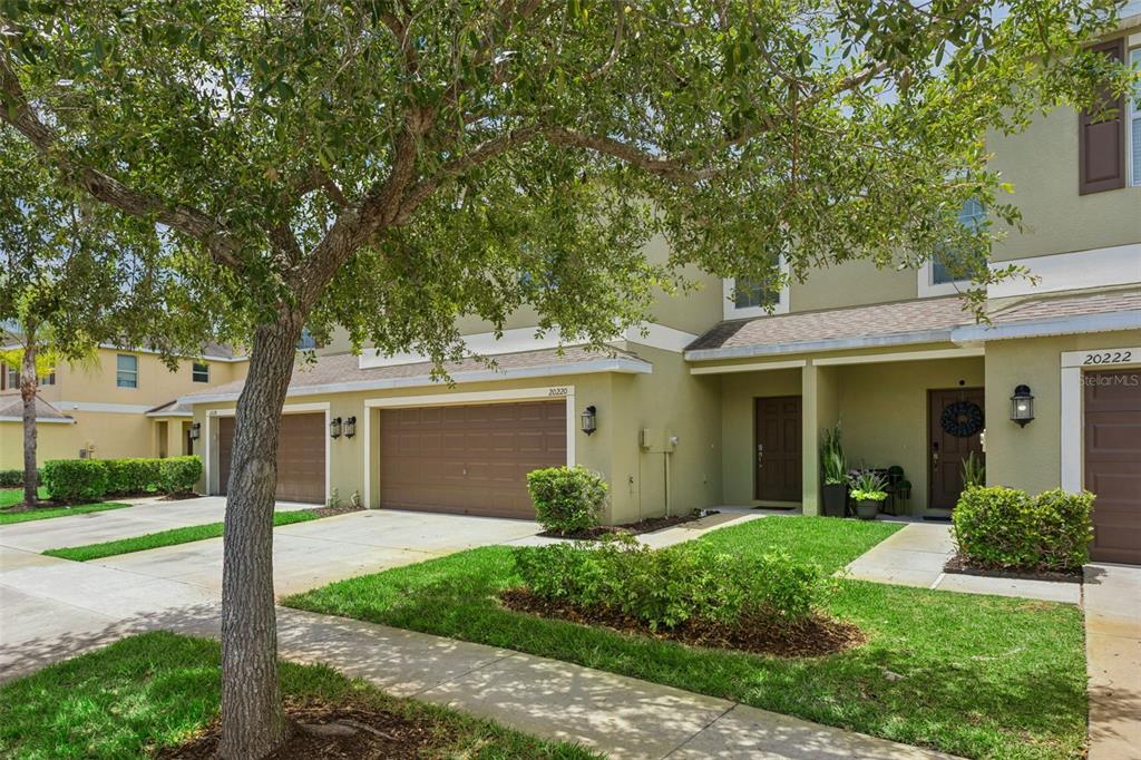A two-story townhouse with a tan stucco exterior, brown garage doors, and a front lawn — 20220 POND APPLE LANE, TAMPA, FL