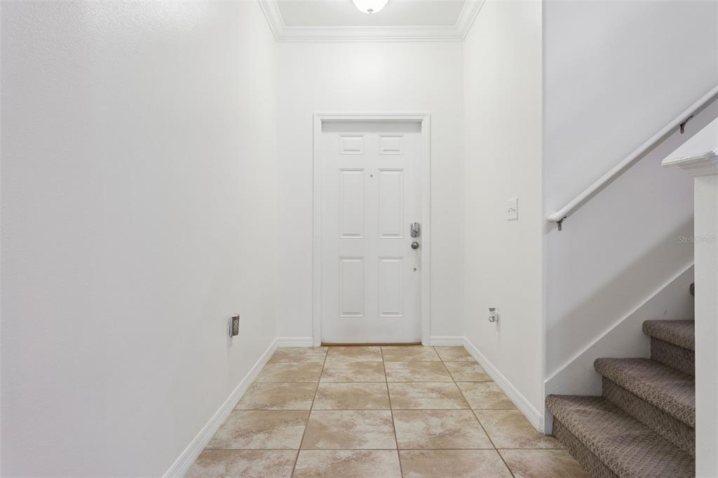 An entryway features a white front door, tiled flooring, and a carpeted staircase to the right — 20220 POND APPLE LANE, TAMPA, FL