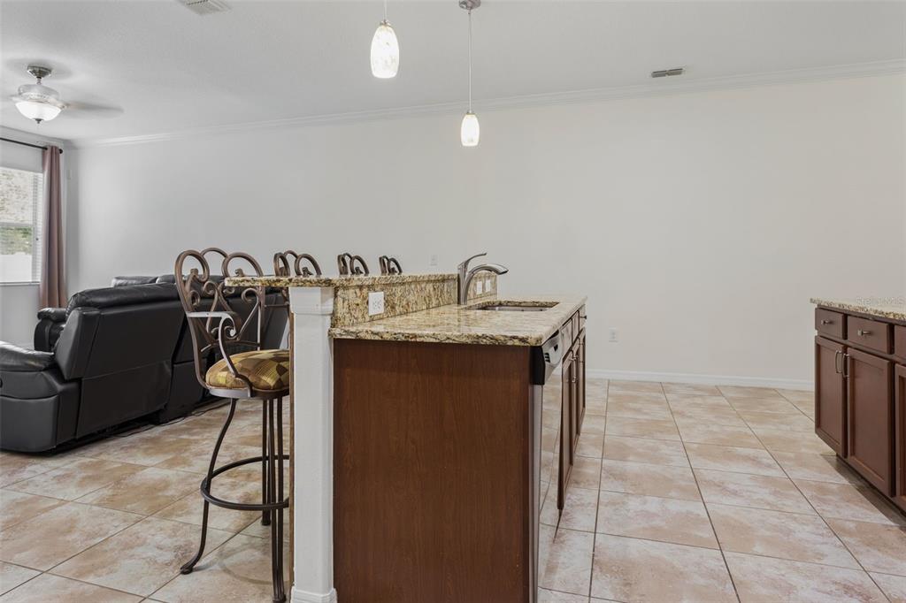 A kitchen island with granite countertops and a bar stool sits in an open-concept room — 20220 POND APPLE LANE, TAMPA, FL