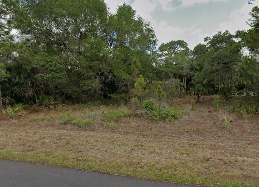 A vacant, wooded lot sits adjacent to a paved road — 1299 BIRCH TERRACE, PORT CHARLOTTE, FL