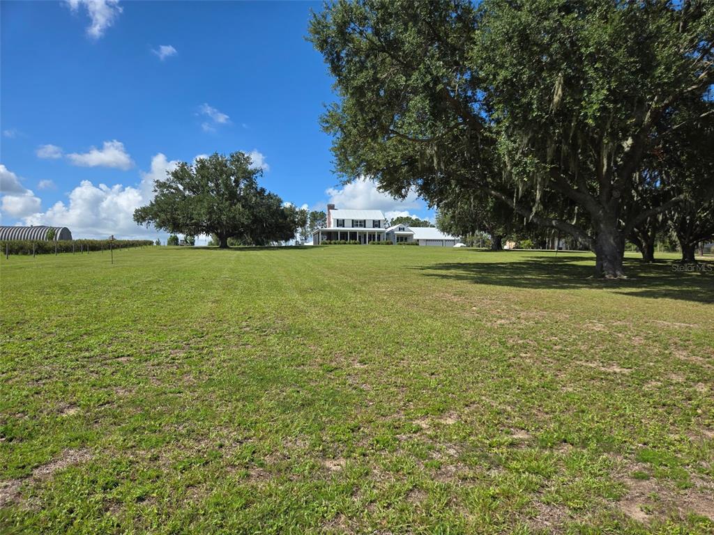A white two-story house sits on a large grassy lot with several mature oak trees — 7956 LAKE NELLIE ROAD, CLERMONT, FL