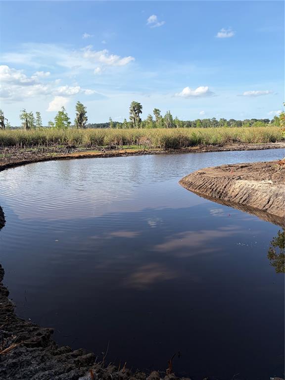 A small, calm pond is surrounded by marshland and trees under a clear blue sky — 7956 LAKE NELLIE ROAD, CLERMONT, FL