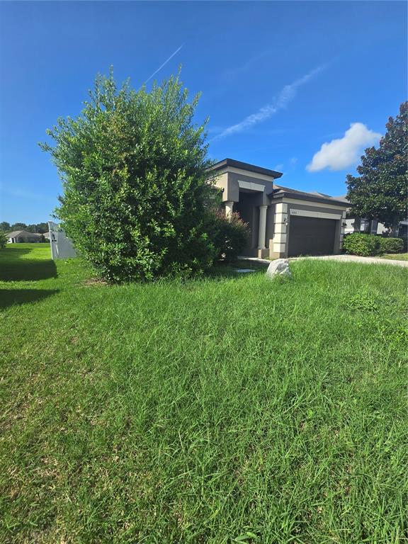 A single-story house with a dark garage door, beige exterior, and an overgrown front lawn — 14282 SALTBY PLACE, SPRING HILL, FL