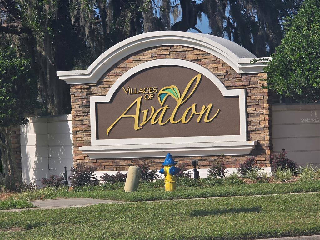 A stone monument sign for the Villages of Avalon stands in a grassy area — 14282 SALTBY PLACE, SPRING HILL, FL