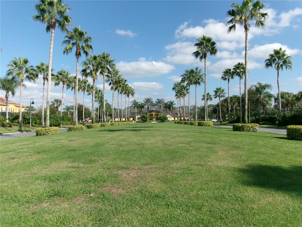 A grassy lawn leads toward a building framed by rows of tall palm trees — 8969 MAJESTY PALM ROAD, KISSIMMEE, FL