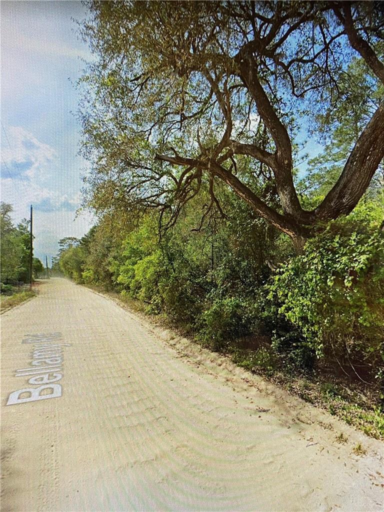 A dirt road runs alongside a line of trees and dense vegetation under a blue sky — 0000 Lone Pine Trail, FL 32666, FL
