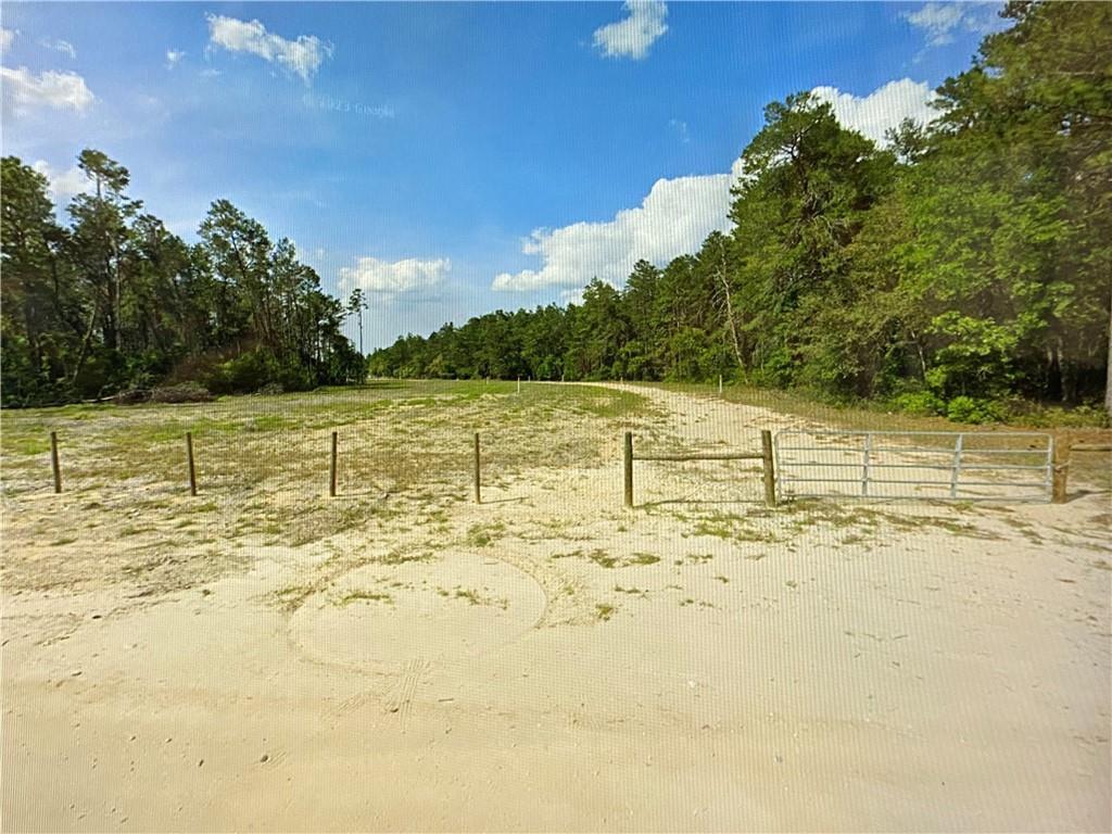 A dirt driveway leads through a metal gate into a clearing surrounded by pine trees — 0000 Lone Pine Trail, FL 32666, FL