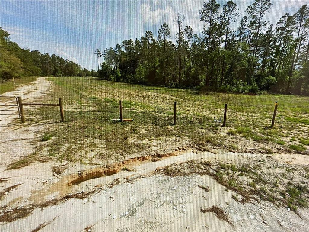 A dirt path leads past a wire fence into a grassy, partially cleared wooded lot — 0000 Lone Pine Trail, FL 32666, FL