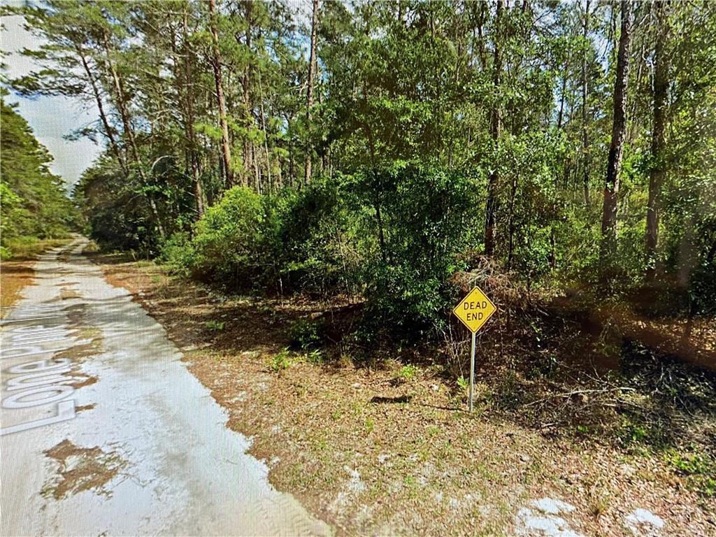 A dirt road leads into a wooded area marked by a yellow dead end sign — 0000 Lone Pine Trail, FL 32666, FL