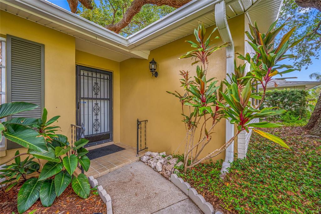 A concrete walkway leads to the front entrance of a house with yellow stucco walls — 2036 FOREST DRIVE, CLEARWATER, FL