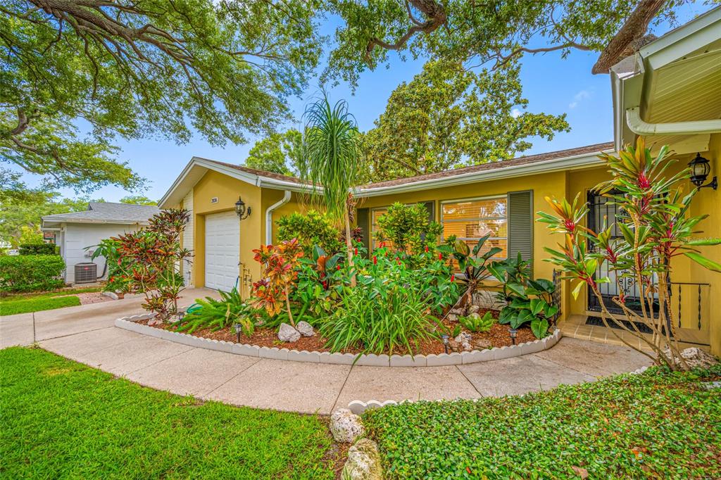 A yellow house exterior features a front garden, a garage, and a paved walkway — 2036 FOREST DRIVE, CLEARWATER, FL