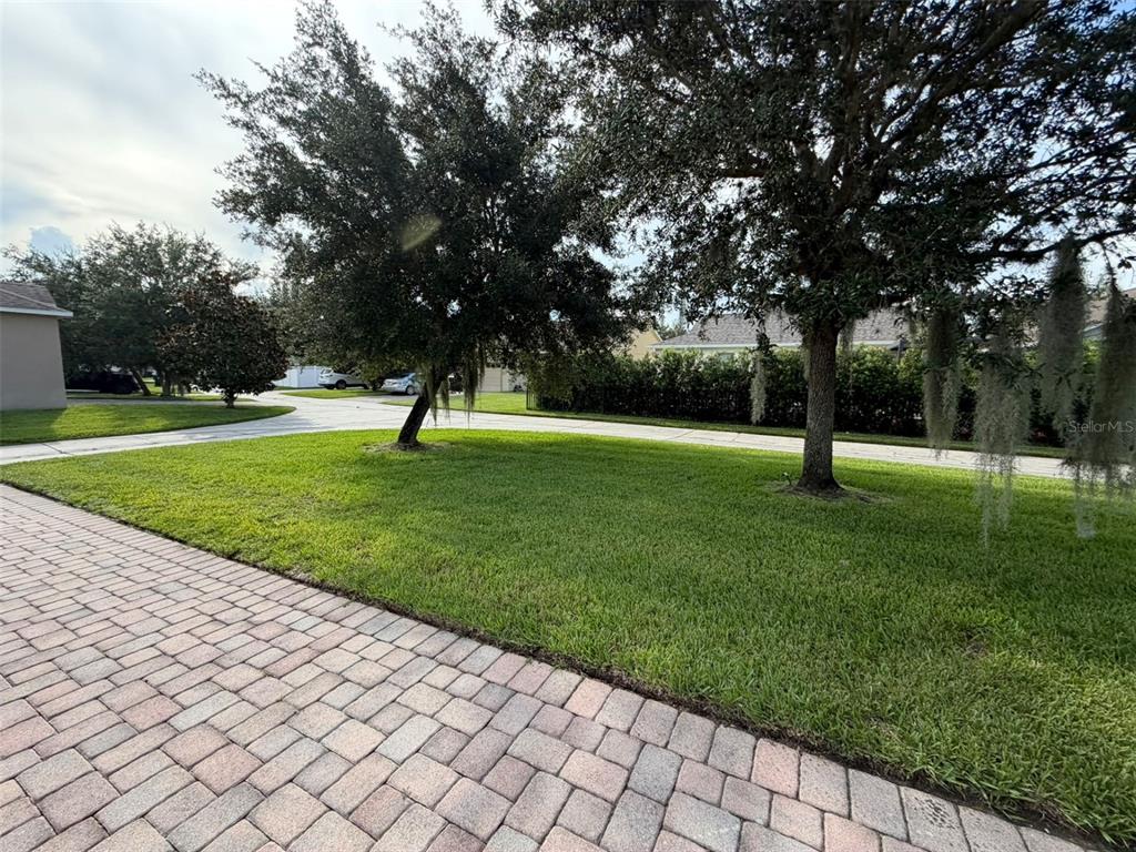 A paved driveway leads to a grassy front yard with two large trees — 6206 POINT HANCOCK DRIVE, WINTER GARDEN, FL