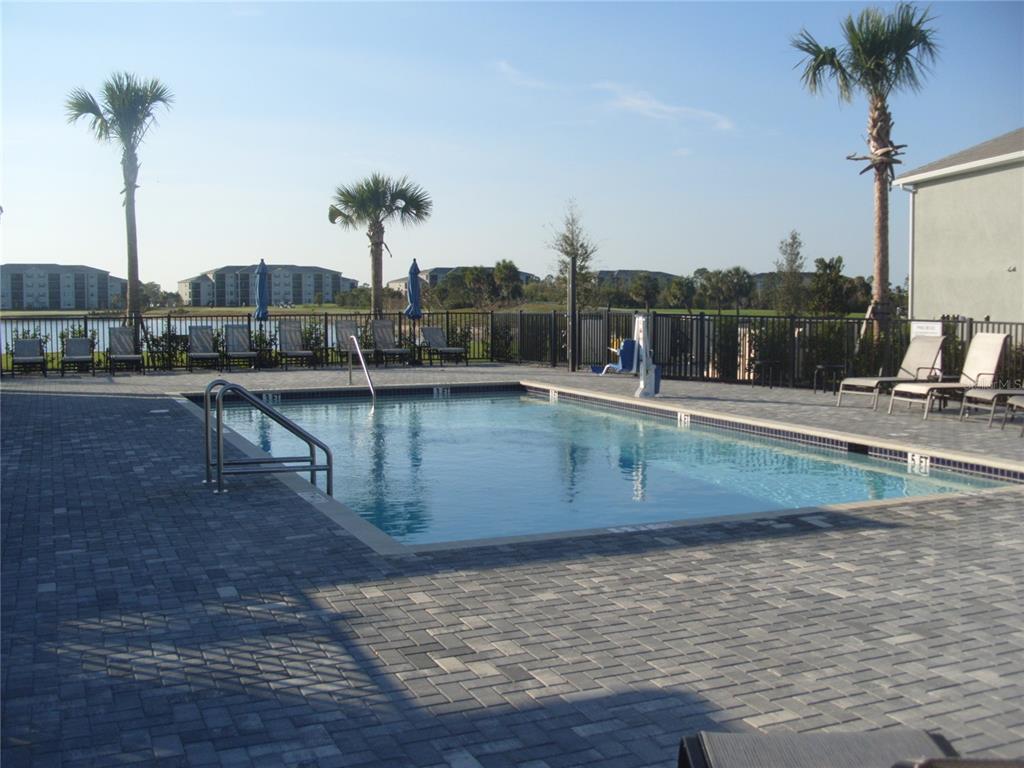 A rectangular swimming pool with a paved deck and lounge chairs sits outdoors near palm trees — 17540 OPAL SAND DRIVE UNIT 204, VENICE, FL