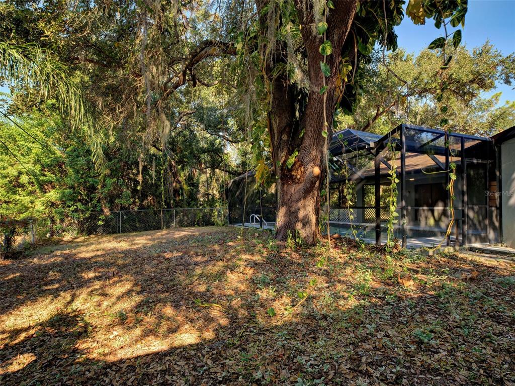 A large tree stands in a backyard next to a screened-in swimming pool enclosure — 2767 SALLY LANE, NORTH PORT, FL